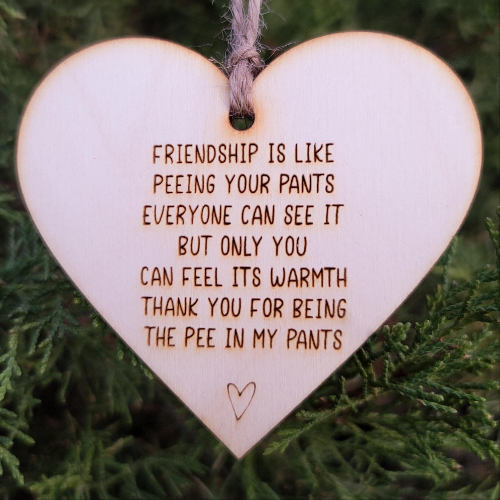 Friendship Is Like Peeing Your Pants Funny Ornament