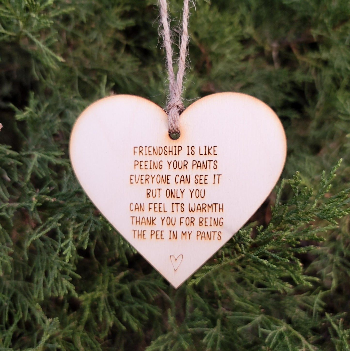 Simple rustic heart ornament that reads: Friendship is like peeing your pants Everyone can see it but only you can feel its warmth Thank you for being the pee in my pants