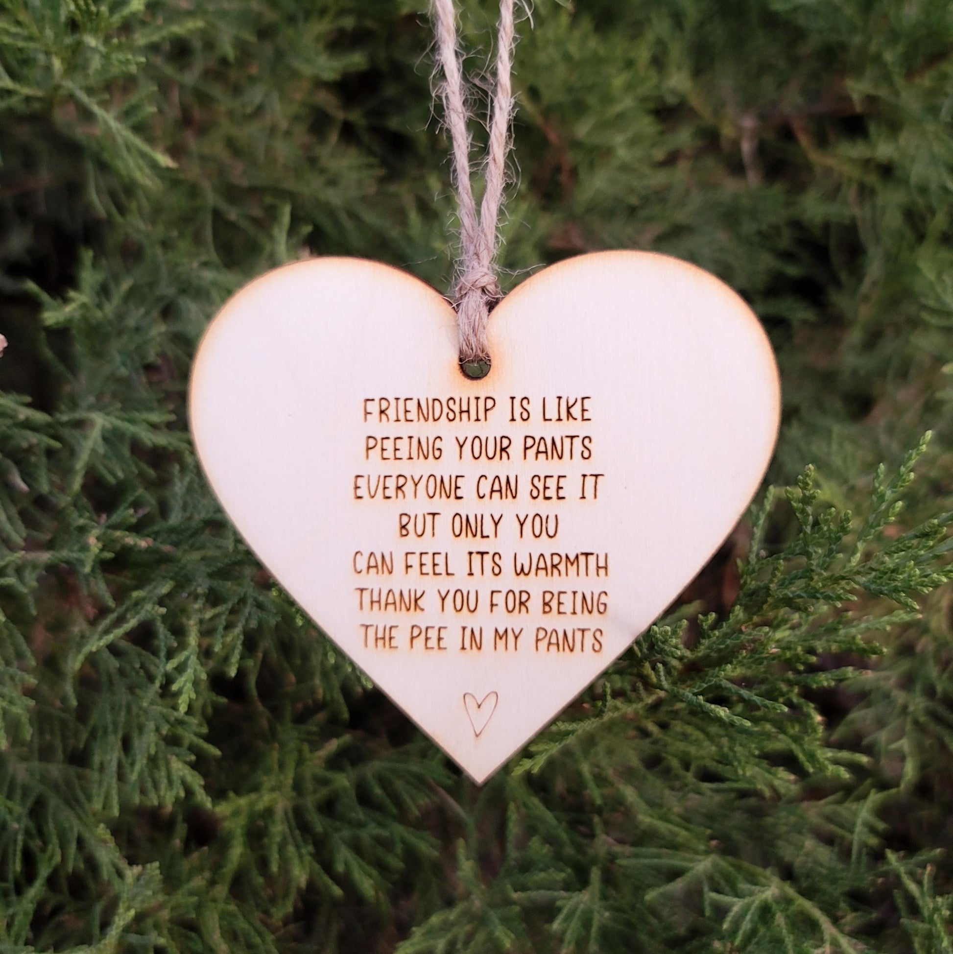 Simple rustic heart ornament that reads: Friendship is like peeing your pants Everyone can see it but only you can feel its warmth Thank you for being the pee in my pants