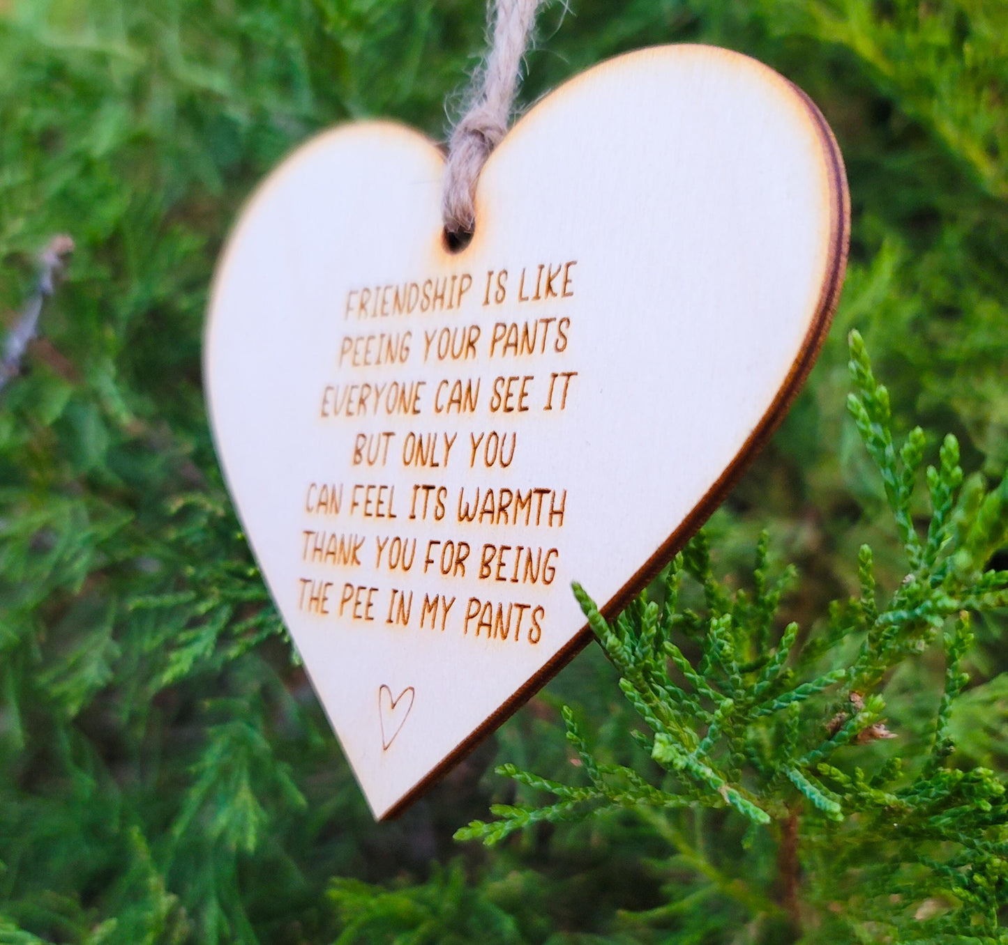 Simple rustic heart ornament that reads: Friendship is like peeing your pants Everyone can see it but only you can feel its warmth Thank you for being the pee in my pants