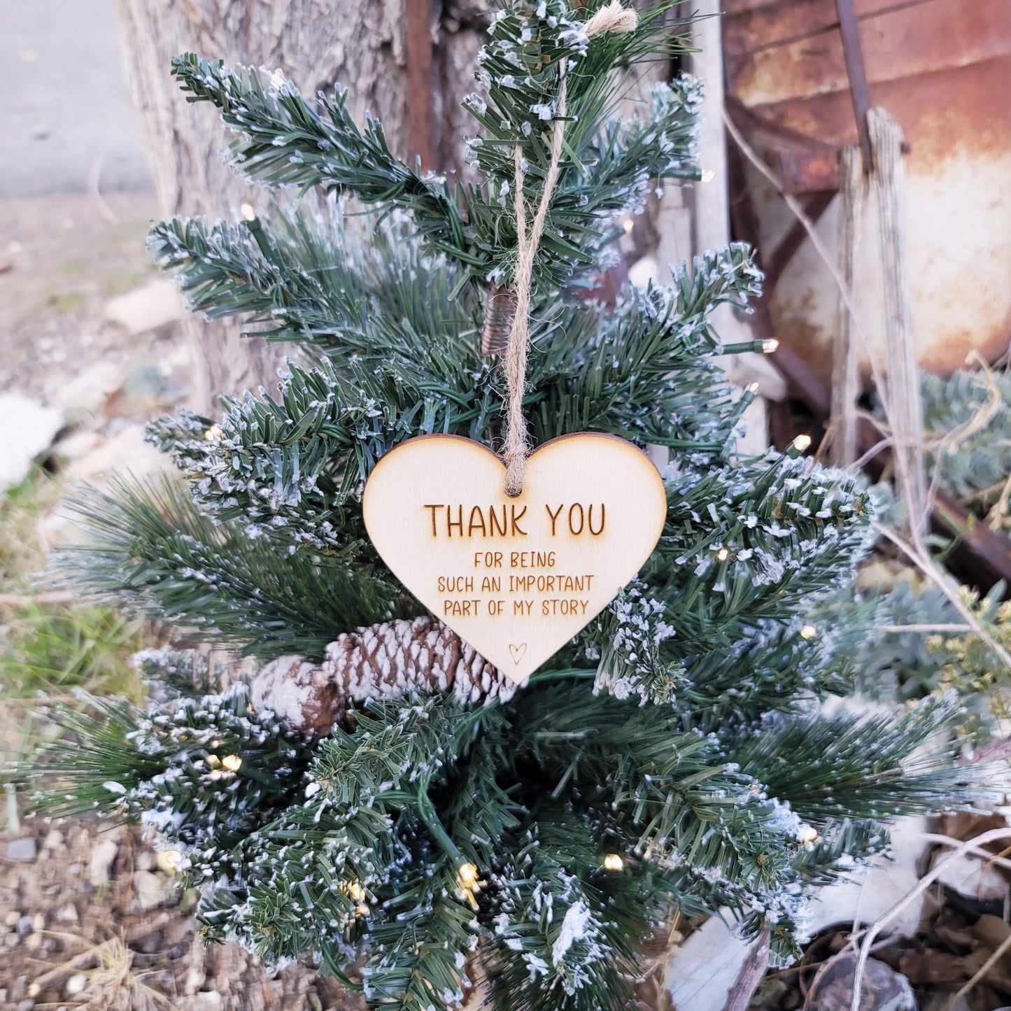 Thank You Ornament Christmas Gift for Counselor Friend Mentor Teacher Affordable Gift Bulk Ornaments Important Part of My Story Gratitude